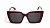Muse_bordo_2.jpg