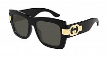 GG 1688S 001 54
