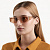 FD-01-AMBER_L.jpg