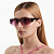 FD-01-MAGENTA_L.jpg