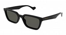 GG 1539S 001 55